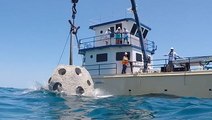 How coral reefs made with human remains are restoring Florida's coastline