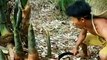Amazing man find bamboo shoot and bananas cooking with duck in forest