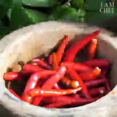 Survival Skills - Find Food Meet Snail Coocking Eating Delicious