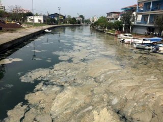 Marmara Deniz'inde "deniz salyası" istilası sürüyor