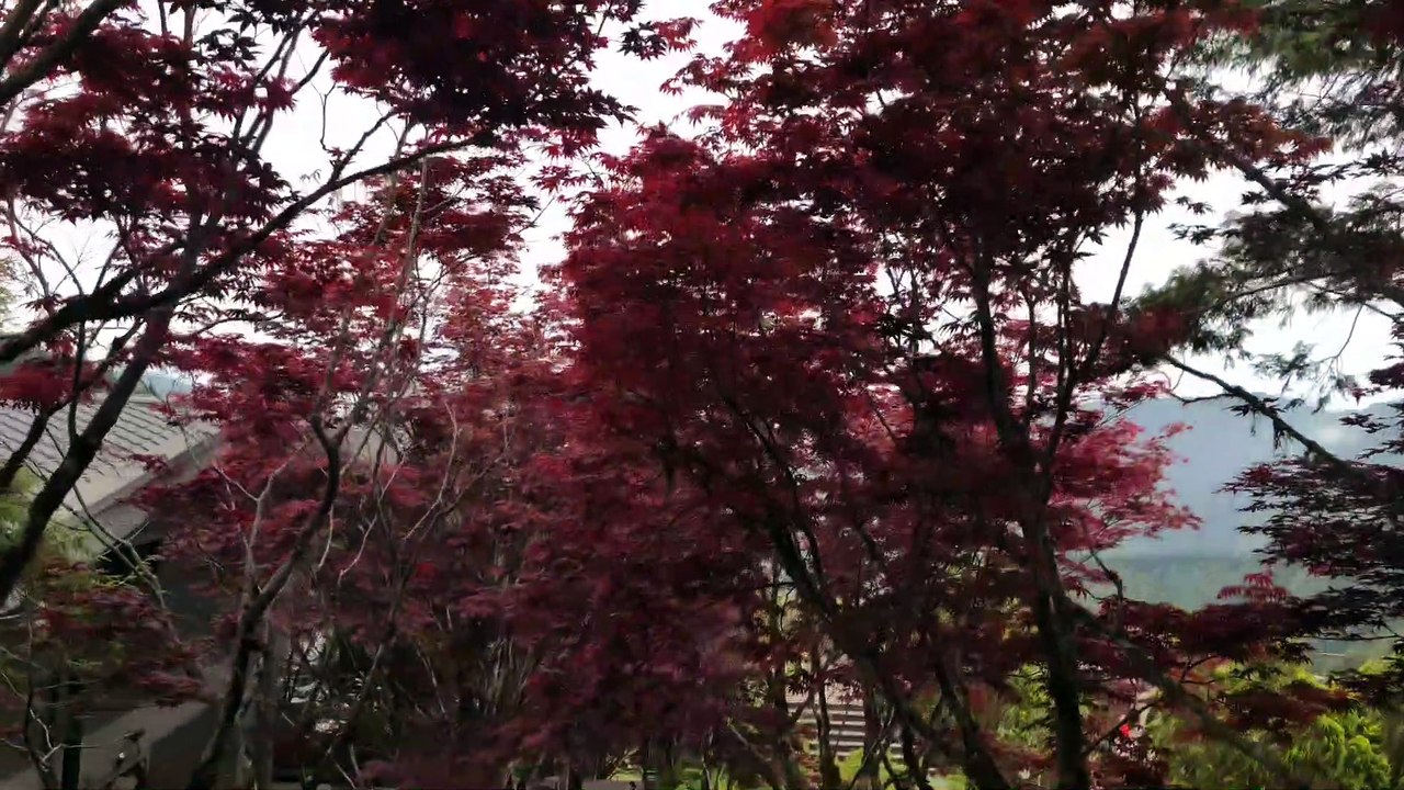 【台湾】 说走就走的背包自由行！台湾宝岛之旅【智慧城市与大自然】