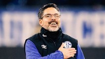 Titel-Träume auf Schalke? 