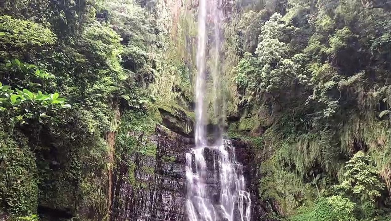 【TAIWAN】 A Trip To Taiwan【Planned Intelligent Cities And Its Natures】