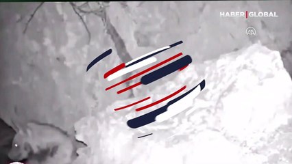 Çizgili sırtlan foto kapanla görüntülendi