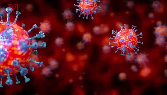 Easing COVID Measures Means Striking Rise in Illegal Rhino Poaching