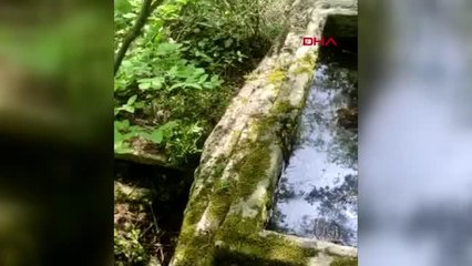 BARTIN DEFİNECİLERİN ZARAR VERDİĞİ KAYA MEZAR İNCELEMEYE ALINDI