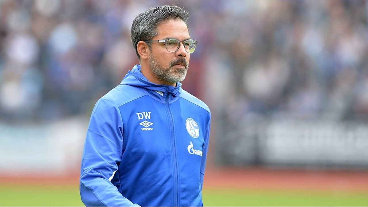 Die 'Neuen' an der Seitenlinie - Die Bundesliga-Trainer im Check