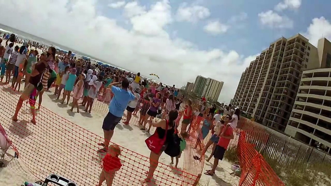 Bunny Drop 2017