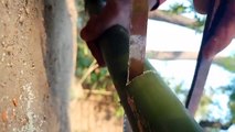How To Make Homemade Bamboo Arrow Bow || Powerful || घर पर बनाइए शक्तिशाली तीर धनुष ||