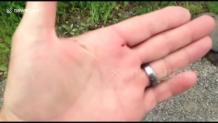 Kaplumbağadan inanılmaz saldırı! İşte o anlar...