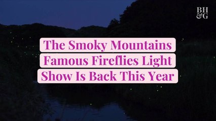 The Smoky Mountains Famous Fireflies Light Show Is Back This Year