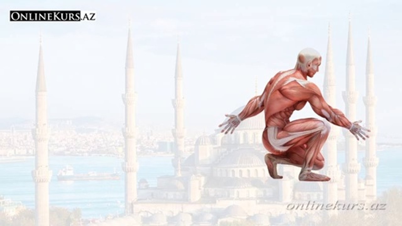 Human body organs in Turkish