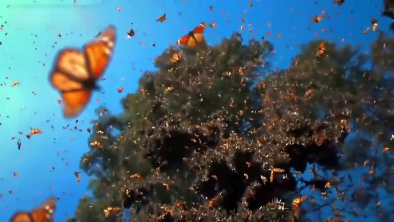 Top 7 Mejores Tecnologías De ESPIONAJE