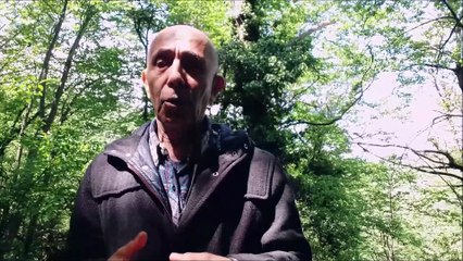 L’héritier de Rév. Moon destitué de l’hérédité laissée par son père