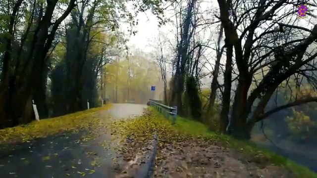 15 Minute Relaxing Music for Self-love | Mindfulness | Meditation | Focus | Concentration | Healing | Self-love | Nature | Beautiful | Joyful