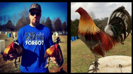 Nice View Turner Farm - Cecil Davis Kelso Hatch Mclean