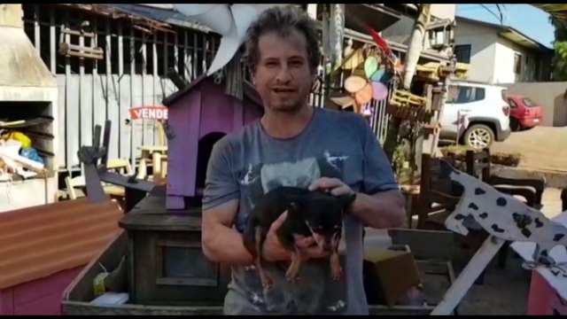 Cães abandonados amarrados em placa: morador afirma que diversos animais são deixados naquele endereço