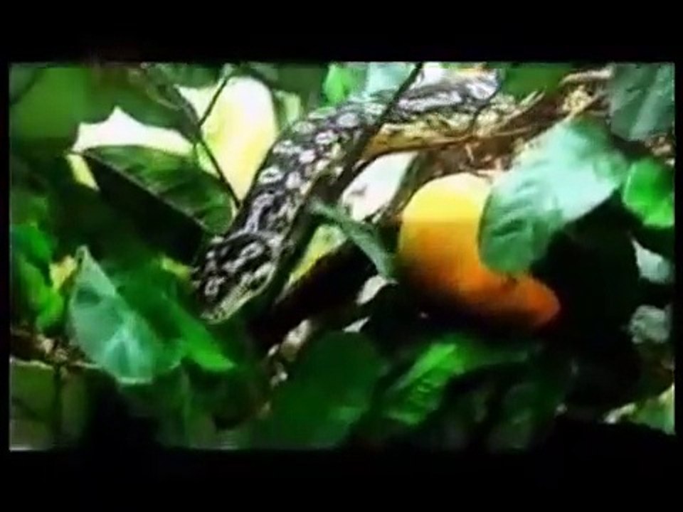 Que no te oculten la verdad Parte 3