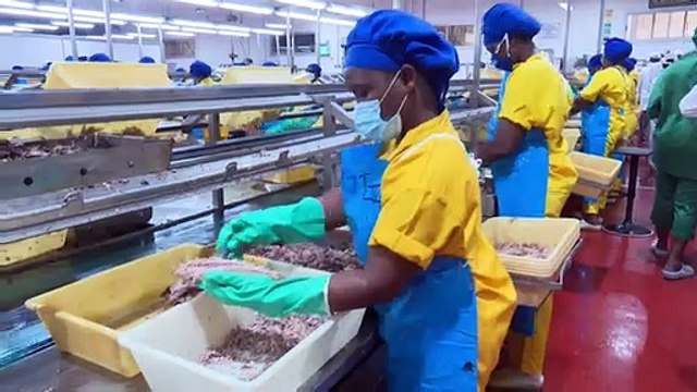 Le Ministre des Ressources animales et Halieutiques Sidi Tiémoko Touré s'imprègne des dossiers du secteur