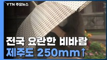 [날씨] 전국 강한 비바람...제주도 250mm↑ 호우 / YTN