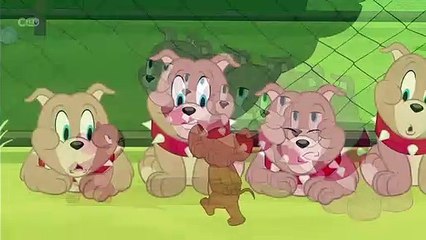 The Tom And Jerry Show - Not My Tyke