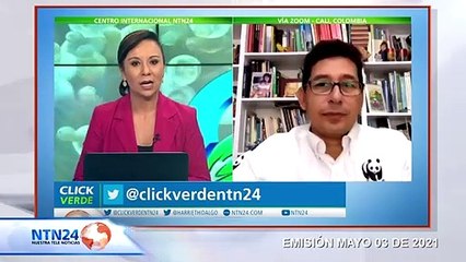 Realizan la primera expedición de delfines tras un año de pandemia