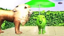 Wrong Colors Animals Matching Game Funny Video | Gorilla Lion Tiger Bear Bull Rain Umbrella