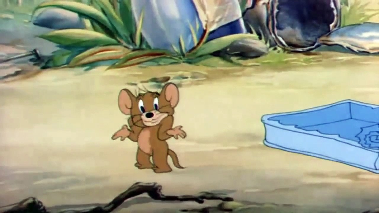 Tom and Jerry  -Jerry Vs Two Cat