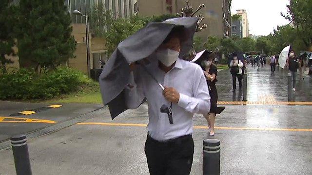 [날씨] 전국에 강한 비바람...제주 산간 250mm↑ 호우 / YTN