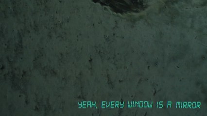 Joywave - Every Window Is A Mirror