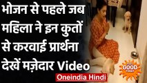 Viral Video: खाना खाने से पहले इन दोनों डॉगी ने की प्रार्थना, दिल छू लेगा Video । वनइंडिया हिंदी