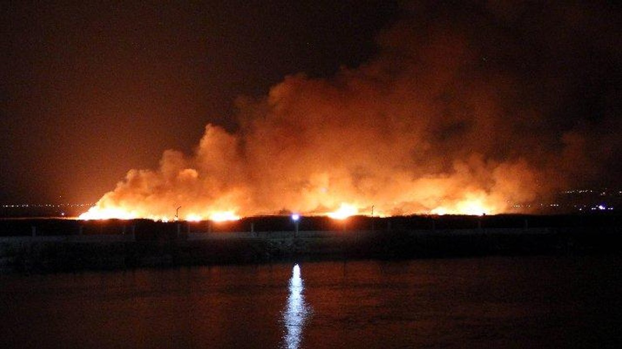 Erzincan’da kuş cenneti alev alev yanıyor