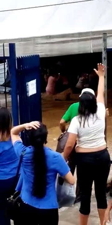 Chuva forte destrói abrigo de imigrantes e deixa feridos em Manaus; veja