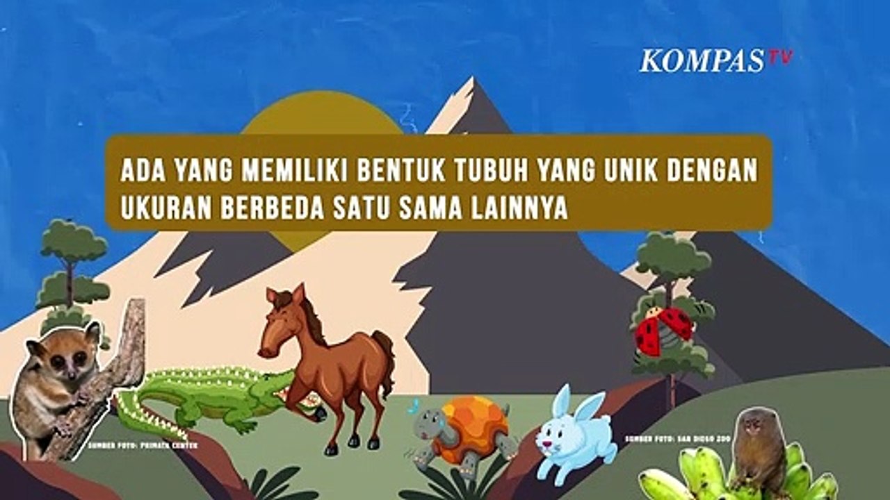 Mengenal Hewan-hewan Terkecil di Dunia, Sekecil Apa Ya?