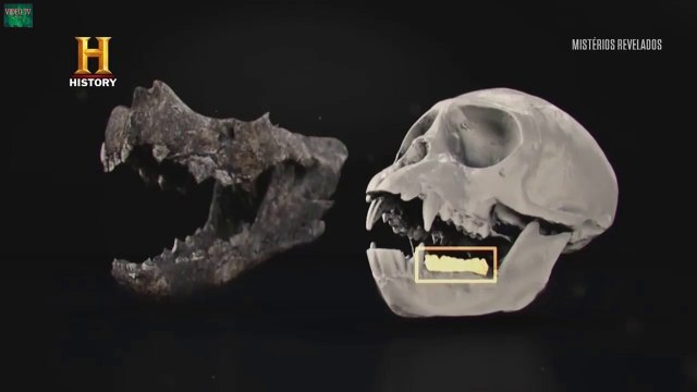 MISTÉRIOS REVELADOS : CRIATURA ESTRANHA , OVNIS