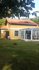 Gezi'yi kışkırtan 'Beyaz Türkler'den ağaç katliamı...