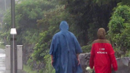 [날씨] 전국 벼락·강풍 동반 비...제주도 '호우주의보' / YTN