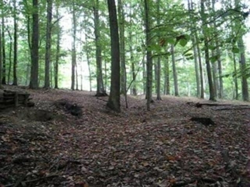 Großer Sprung - Frontansicht rechts II.00