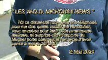 LES W-D.D. MICHOU64 NEWS - 2 MAI 2021 - PAU - PROMENADE DOMINICALE MATINALE VAIS À LA RENCONTRE DE MON AMIE