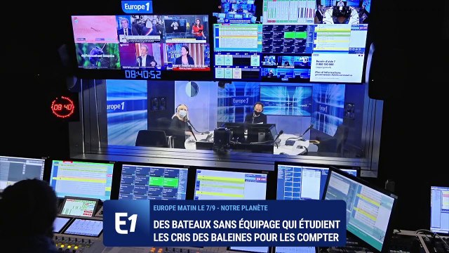 Recensement des baleines : des bateaux sans équipage étudient leurs cris pour les compter