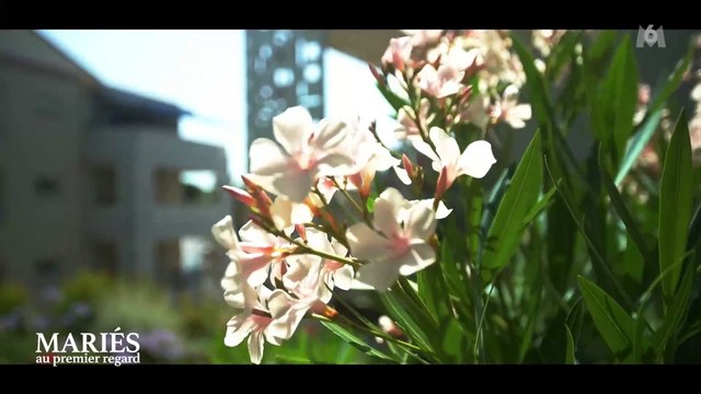 Marianne en larmes dans Mariés au premier regard , sur M6