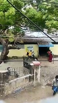 சென்னையில் இனி அம்மா உணவகம் எல்லாம் கிடையாது.. சூறையாடி மர்ம நபர்கள்.. வைரல் வீடியோ