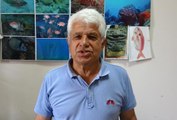 Prof. Dr. Gökoğlu: Denizde, kıyıda balon balığı görmeye alışmalıyız