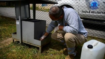Tuzla'da tam kapanmada sokak hayvanları unutulmadı