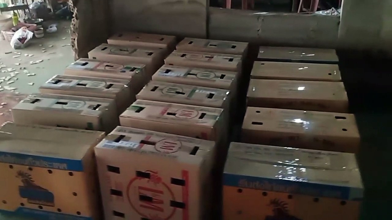 video_25640416_154053