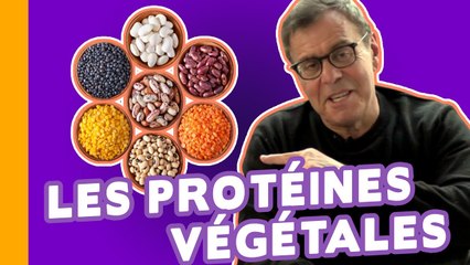 Spiruline, Graines de Soja, Germes de Blé : les Meilleures Protéines Végétales - Le Grain de Sel 