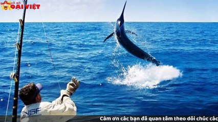 Mơ thấy cá cắn câu có tỉ lệ trúng cao nhất