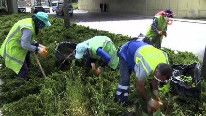 Yeşil Bursa yaza hazırlanıyor