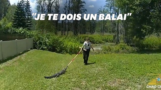 Aux États-Unis, ces officiers chassent un alligator avec un balai