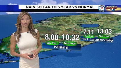 Julie Durda on WPLG Local 10 (04/05/2021)